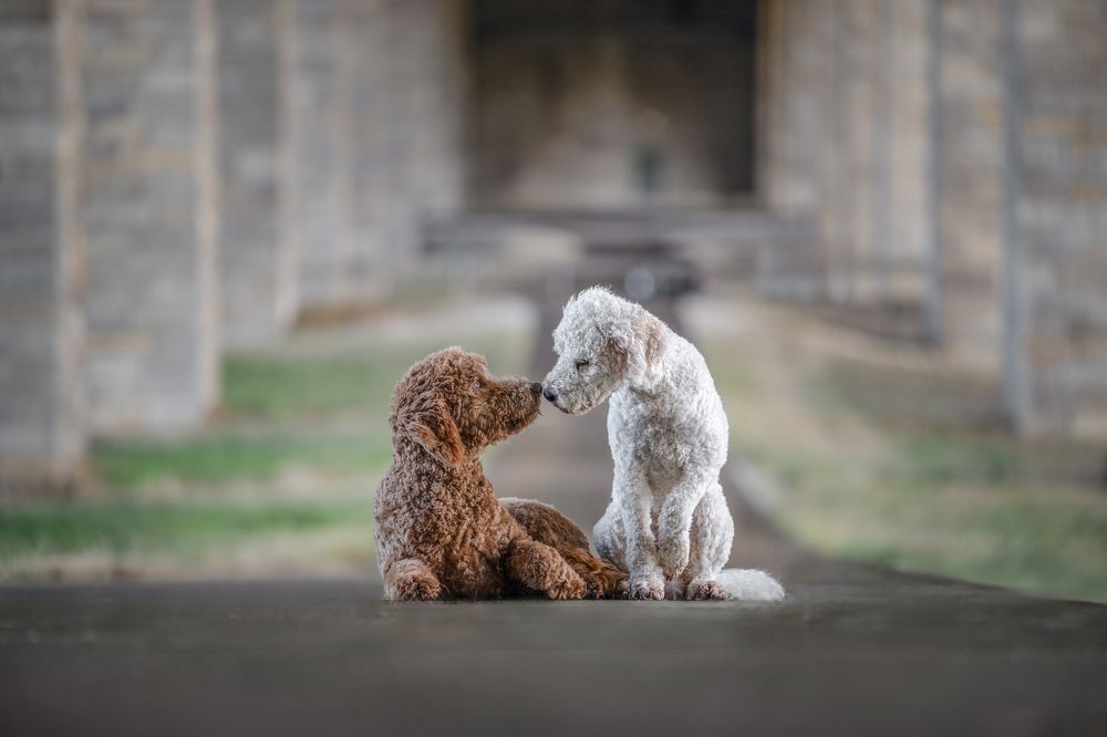 Photograph by Karoline Palme