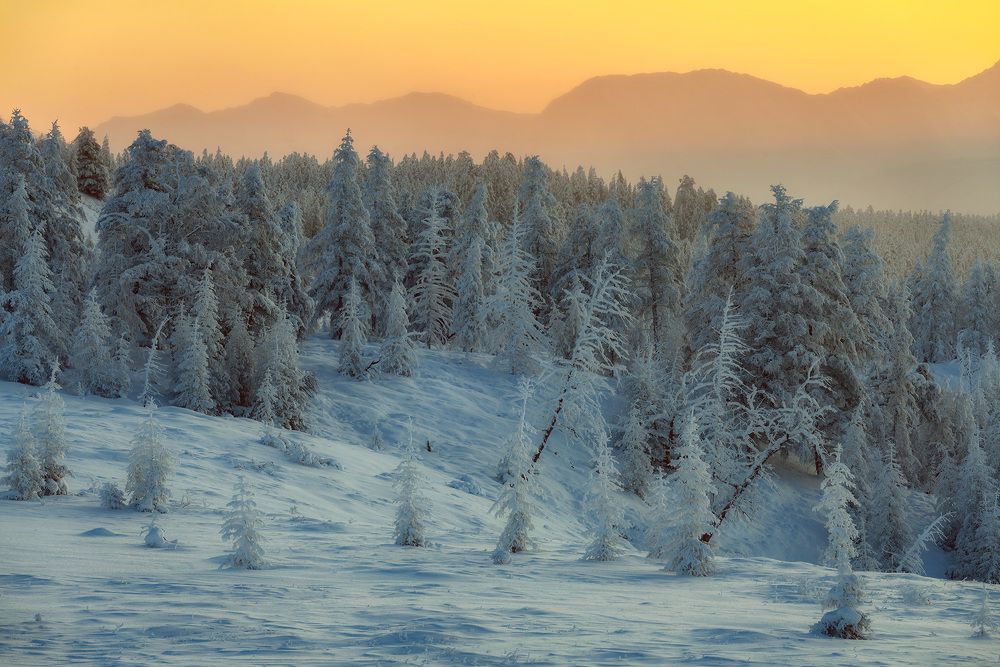 Photograph by Сергей Карпухин