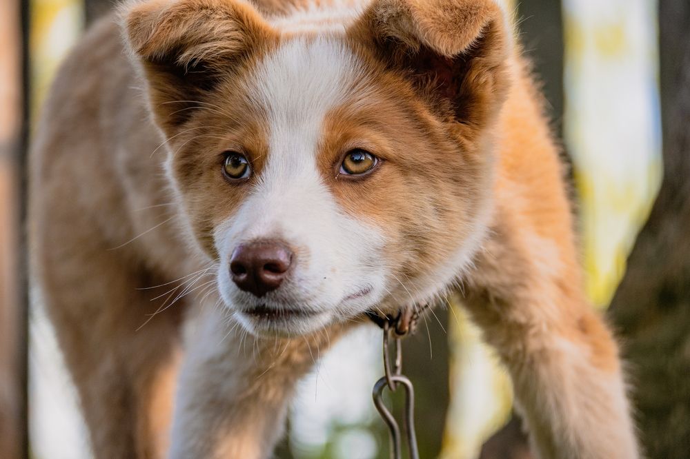 Photograph by Денис Пономарёв