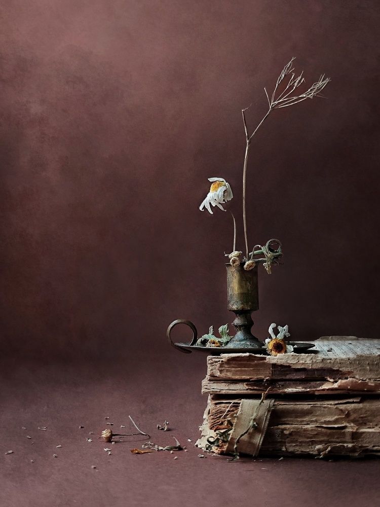 Photograph by Natalia Sopoćko