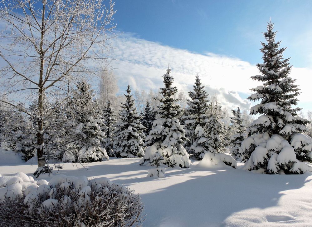 Photograph by Наталия Васильева