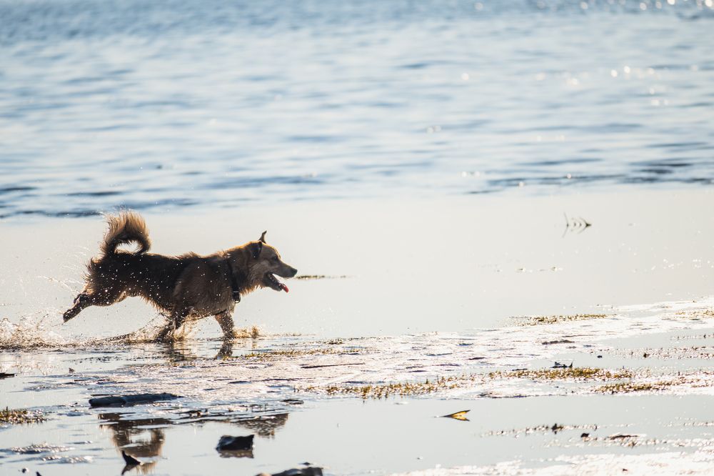Photograph by Денис Пономарёв