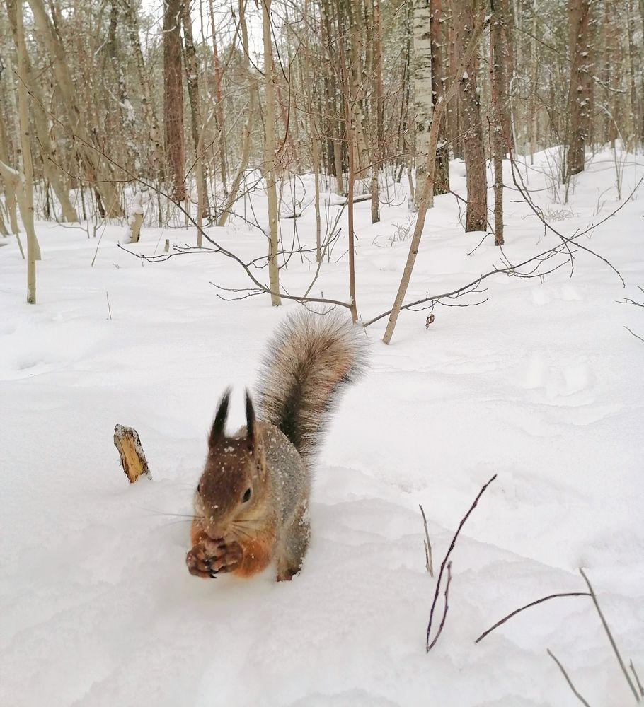 Photograph by Татьяна Бешенкина