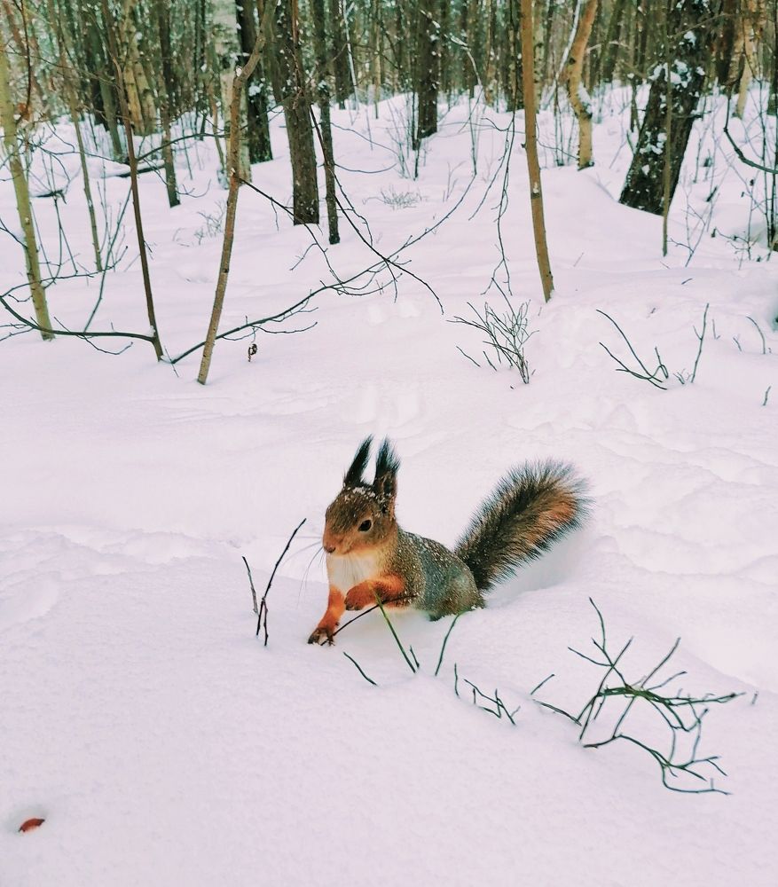 Photograph by Татьяна Бешенкина