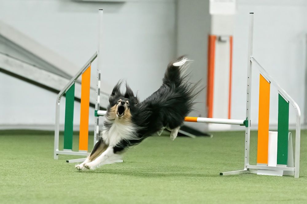 Photograph by Ольга