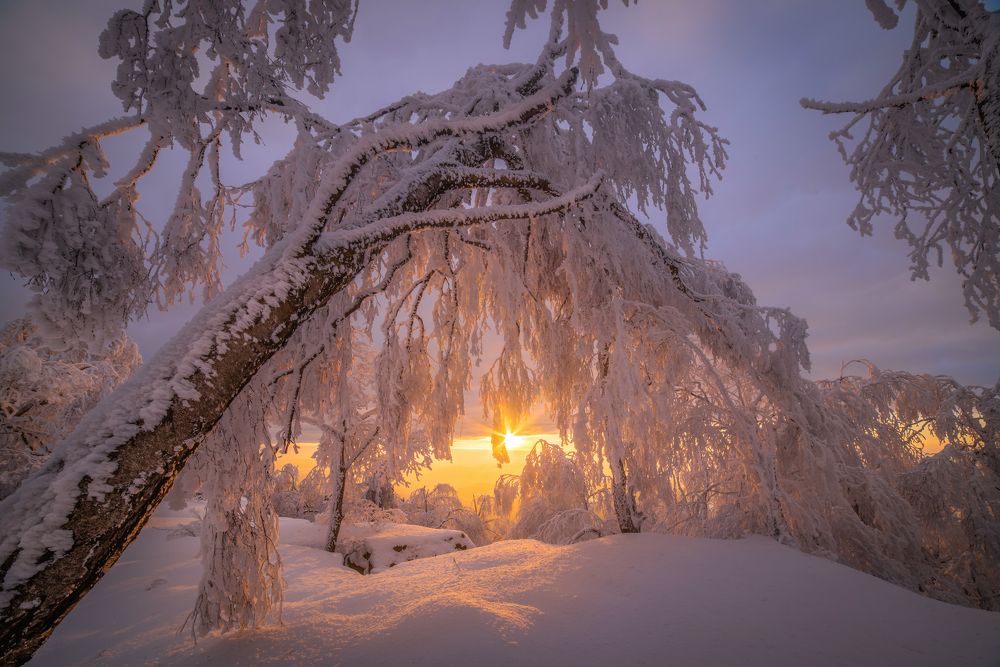 Photograph by konstantin zhdanov