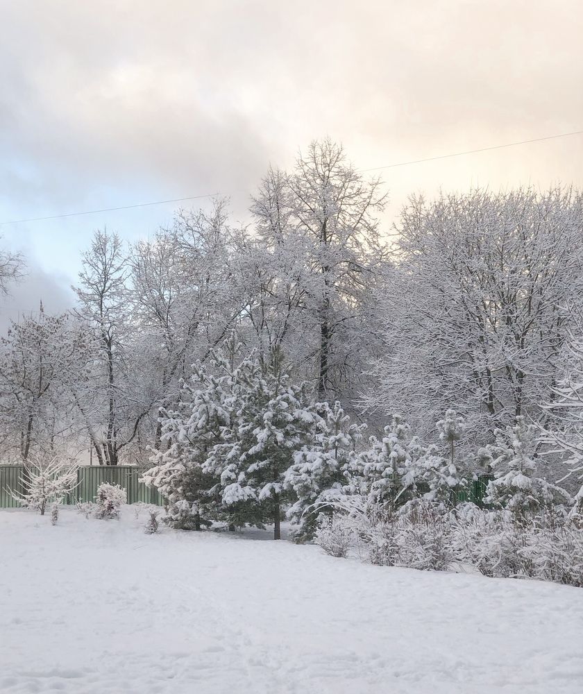 Photograph by Марина Георгиева