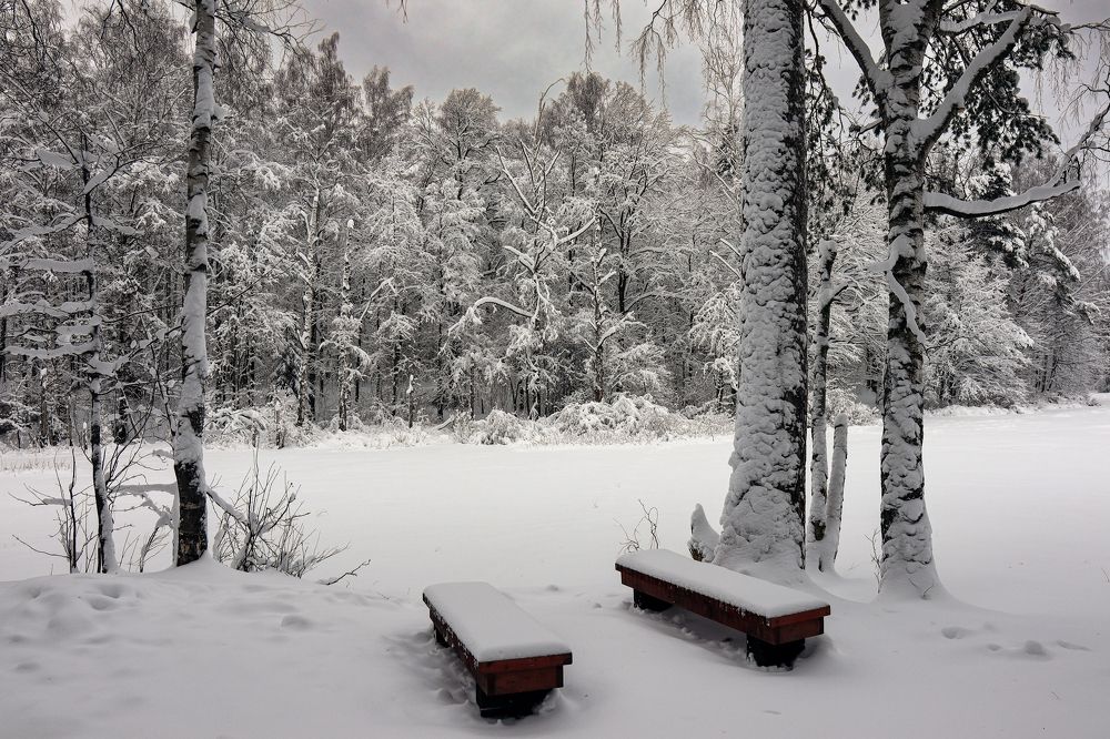 Photograph by Сергей Иванов