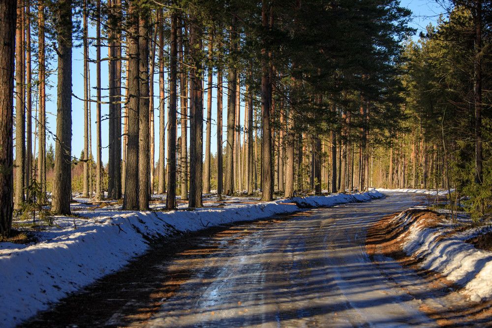 Photograph by Владимир Копков