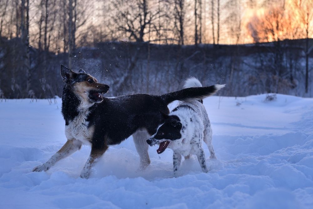 Photograph by Наталья Сергеева