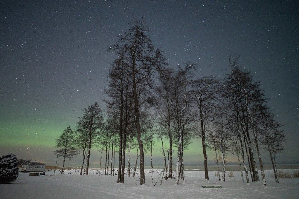 Photograph by Ольга Леонова