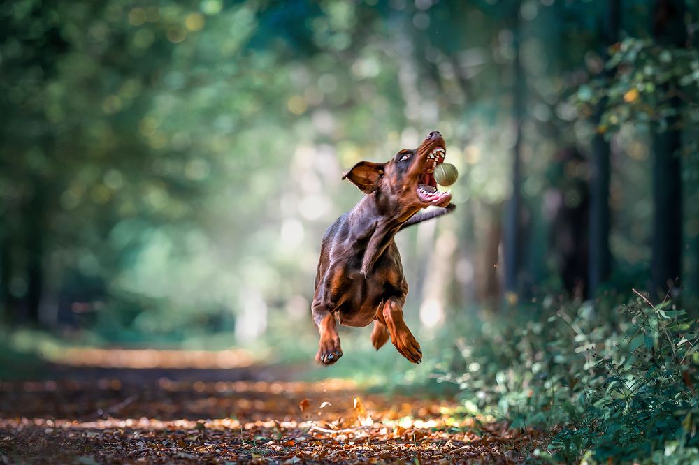 Photograph by ольга