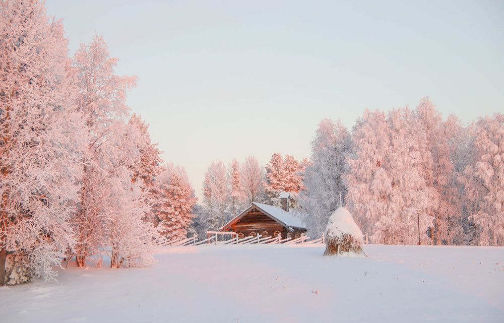 Photograph by Александр Трифанов