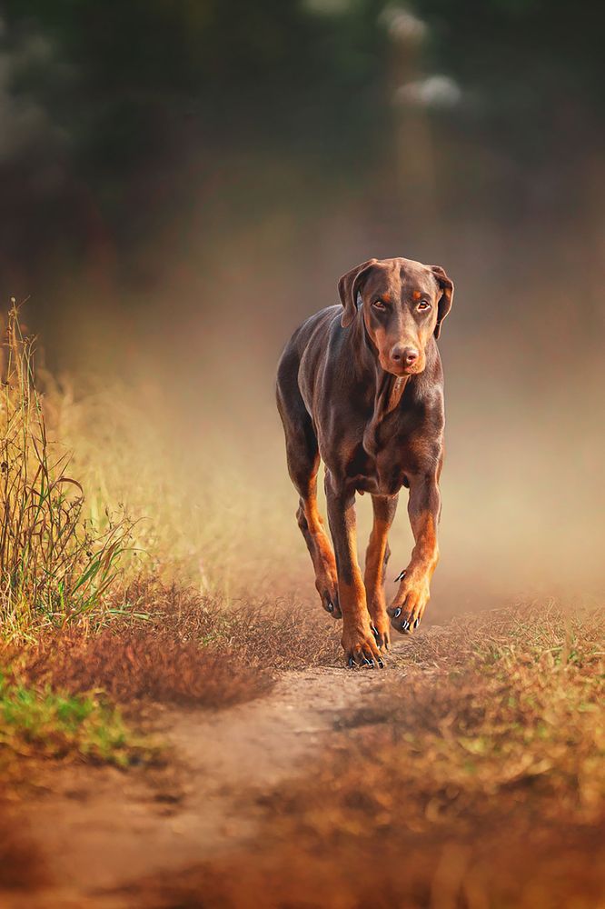 Photograph by ольга