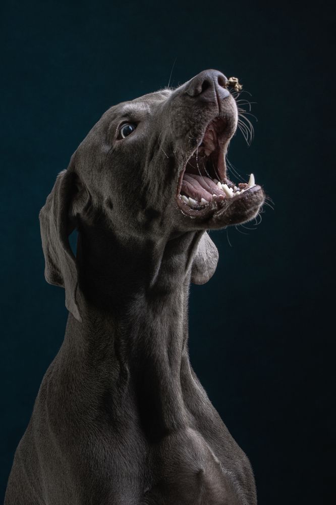 Photograph by Зубкова Юлия