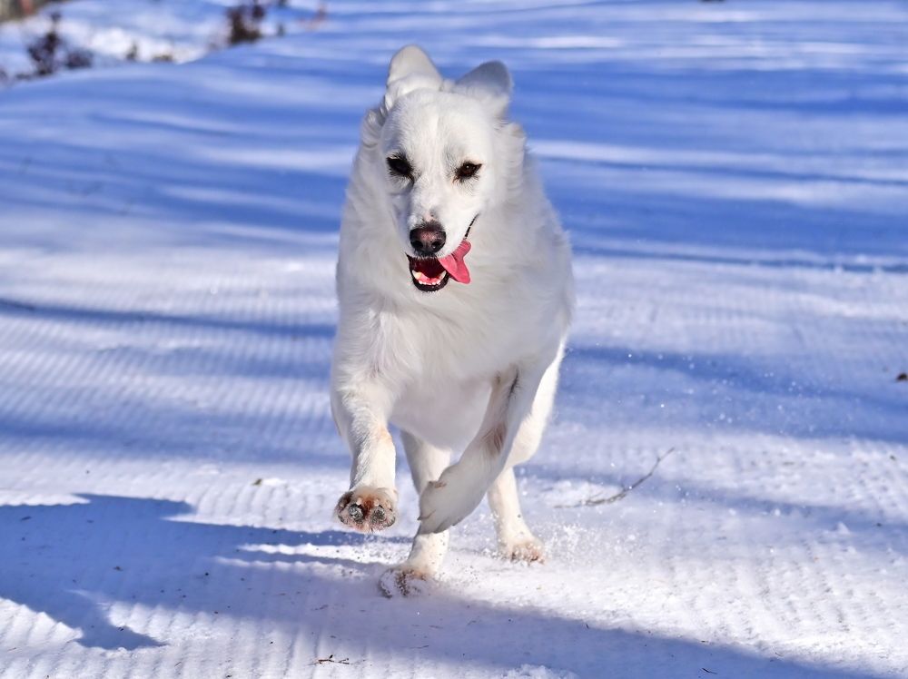 Photograph by Светлана Ивановна