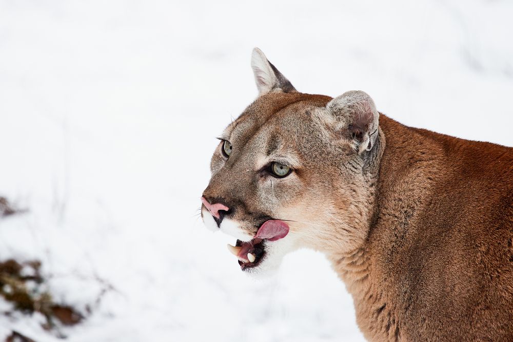 Photograph by Мария Раздорова