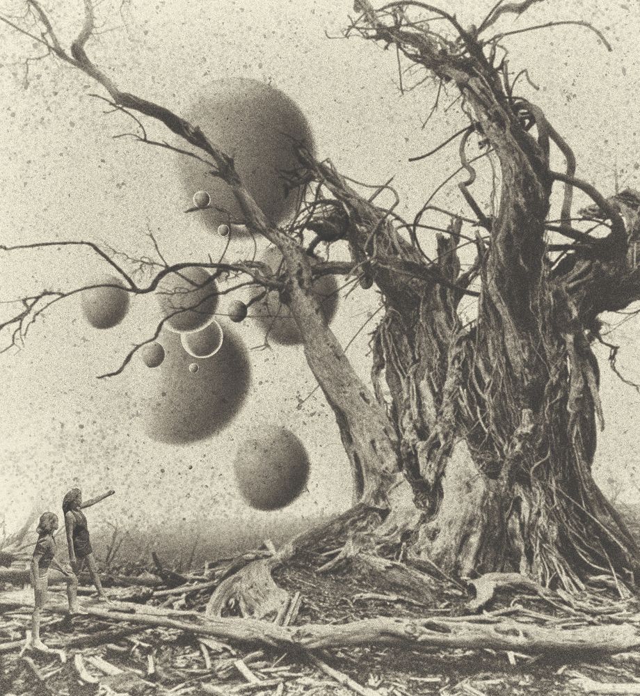 Photograph by Lana Cardi