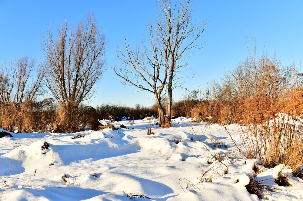 Photograph by Николай Абакумов