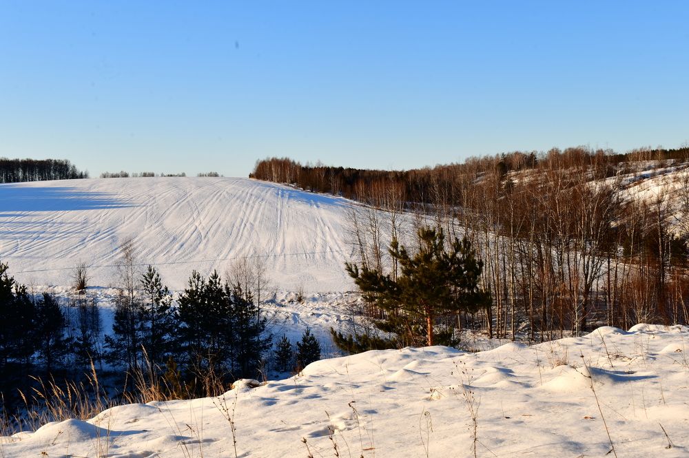 Photograph by Николай Абакумов