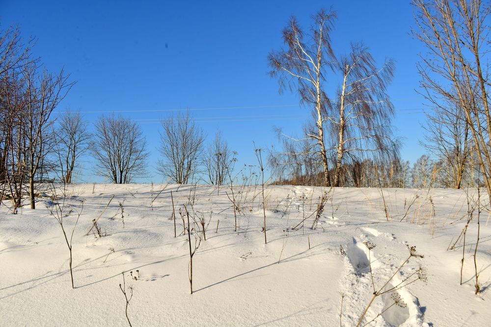 Photograph by Николай Абакумов