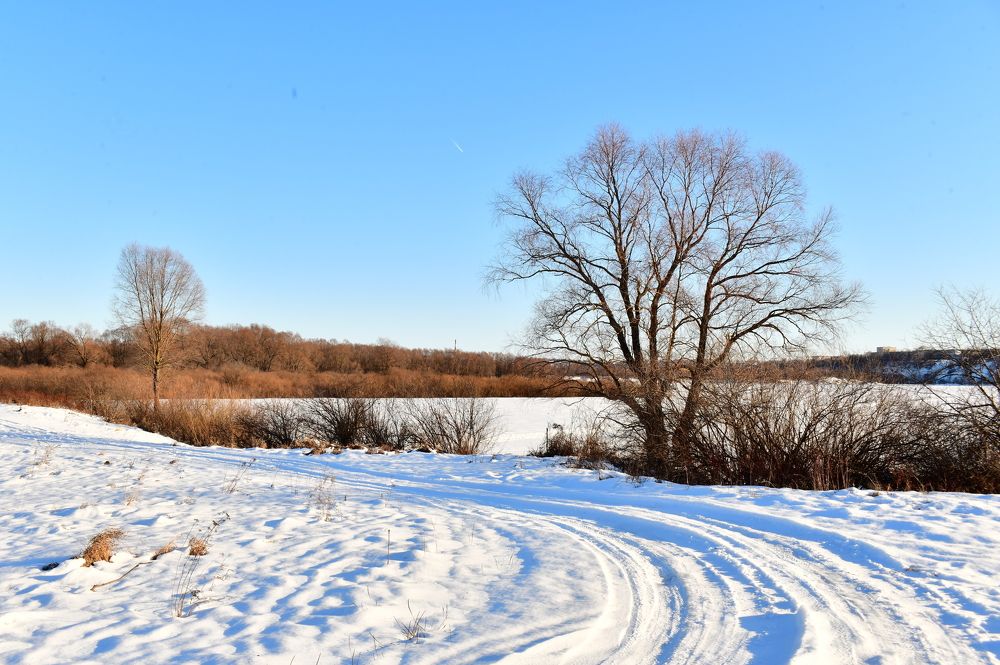 Photograph by Николай Абакумов