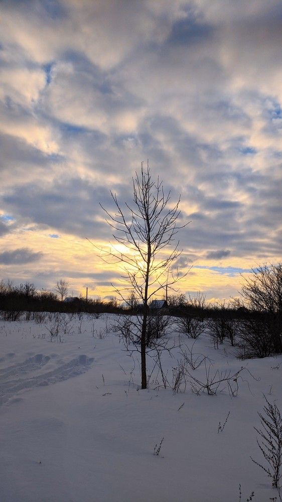 Photograph by Надежда Кононученко
