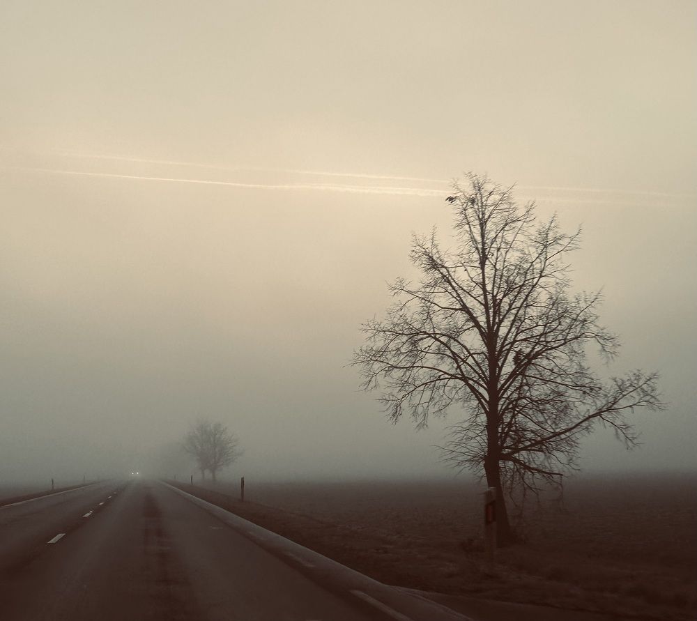 Photograph by Jekaterina Michejeva