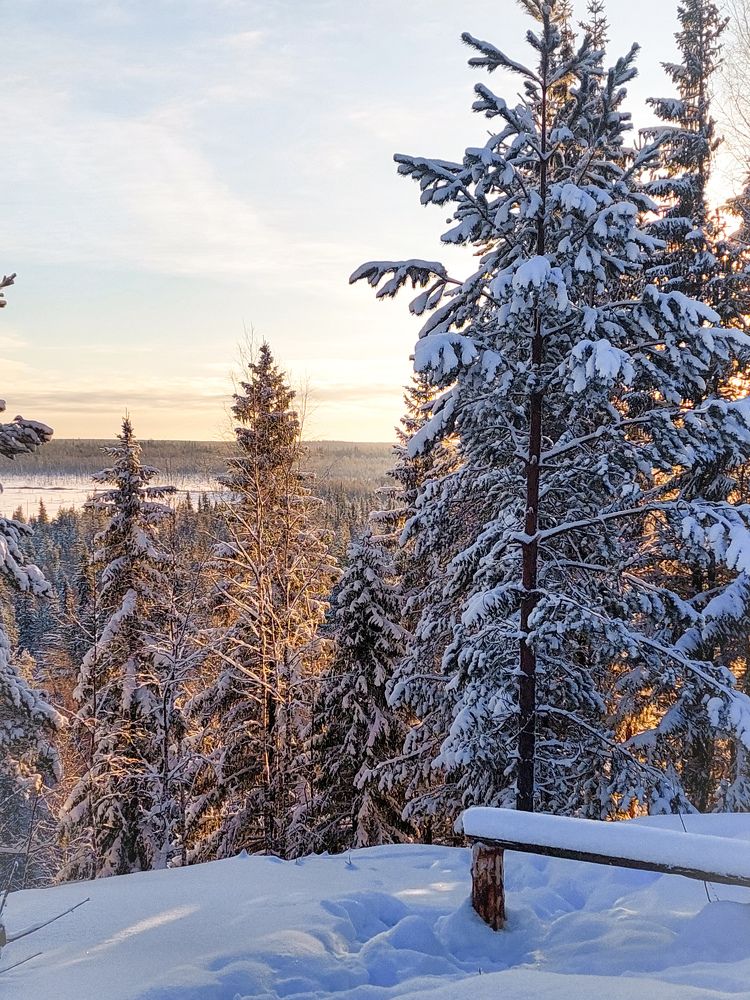 Photograph by Алёна Вороная