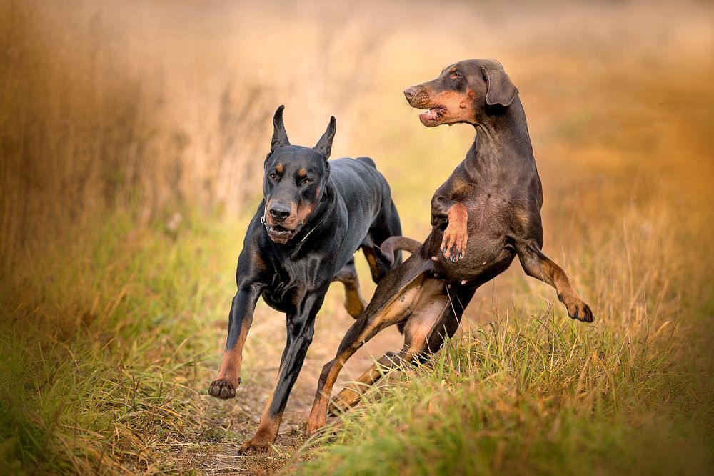 Photograph by ольга