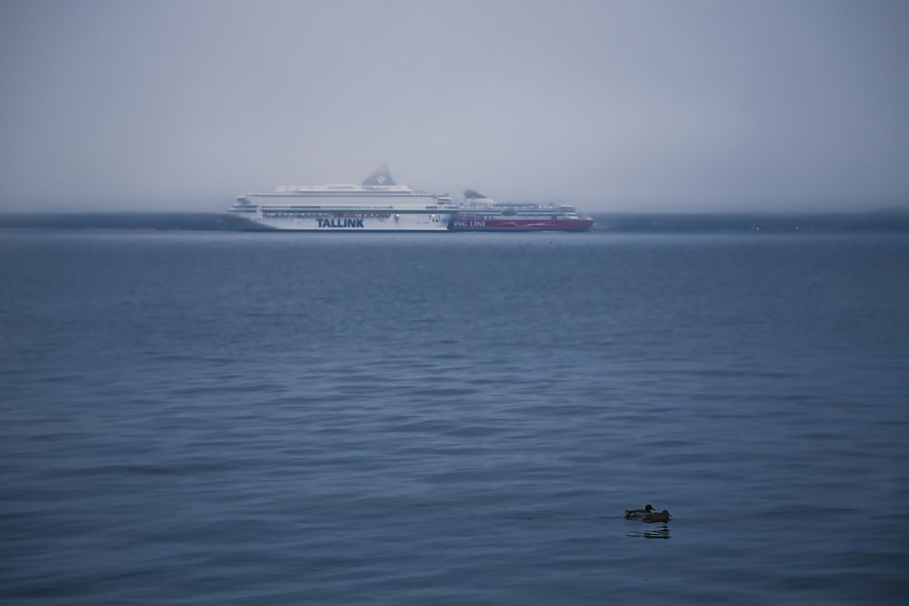 Photograph by Светлана Алексеева