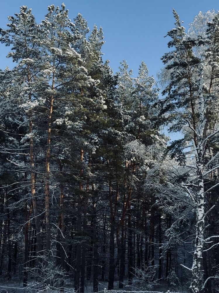 Photograph by Ирина Ц