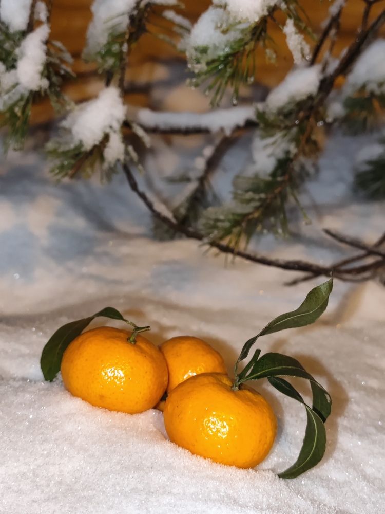 Photograph by Мария Устьянцева