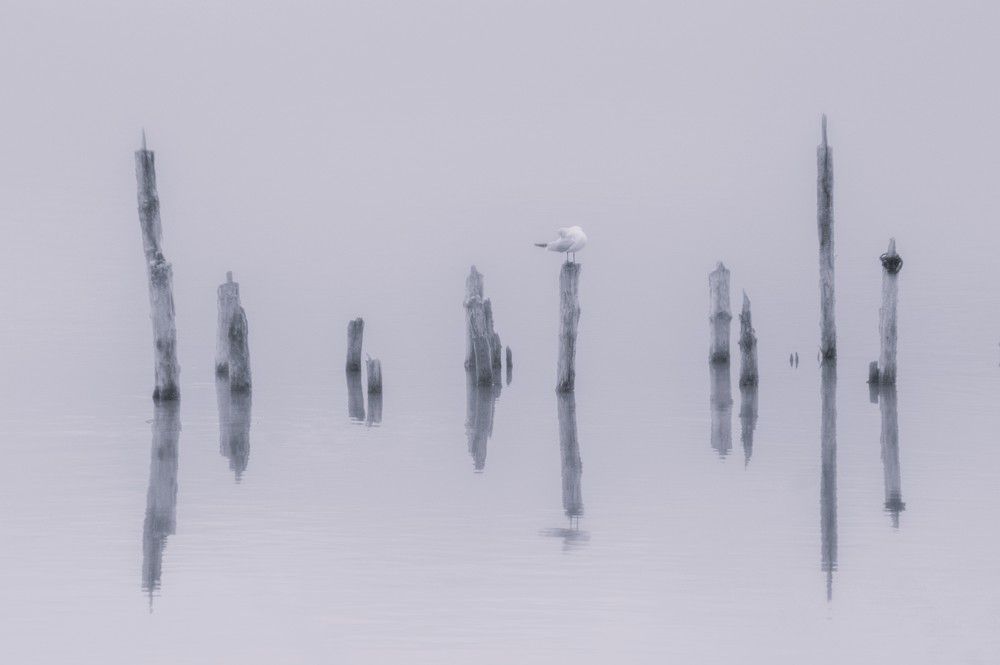 Photograph by Marina Mossiy