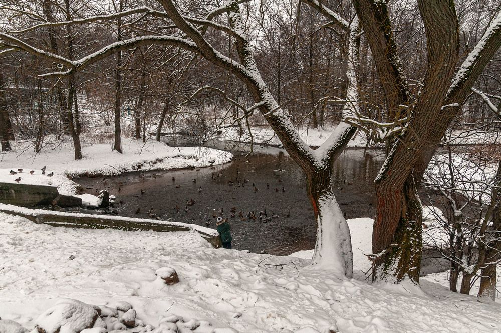 Photograph by Vladimir  Komarov