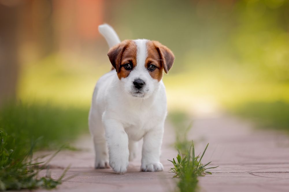 Photograph by Мария Мадзик