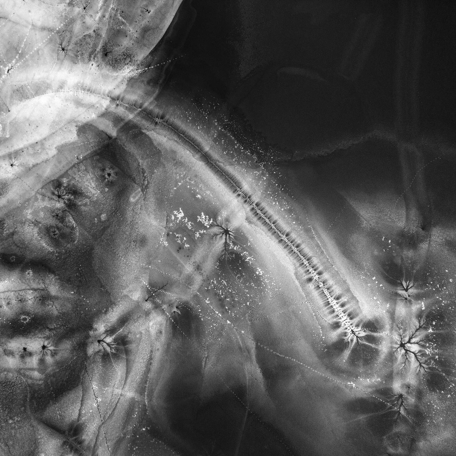 Фотография #11695350