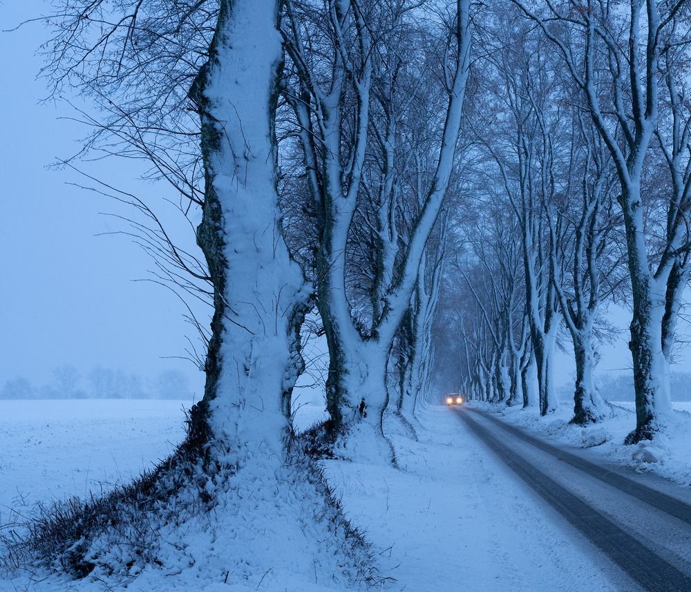 Photograph by Tomasz Dunajski