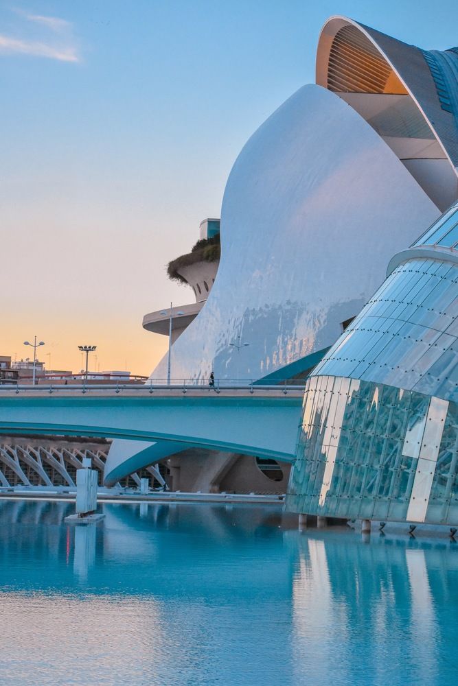 Photograph by Julia Guy