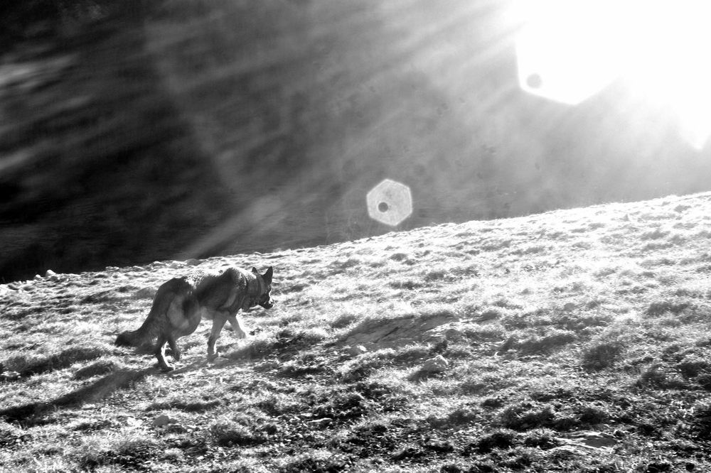 Photograph by Damir Gržin