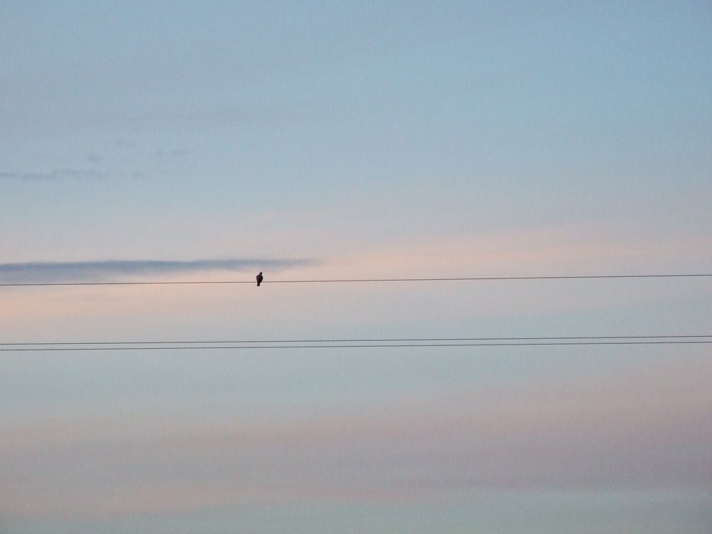 Photograph by Natalya Sedina