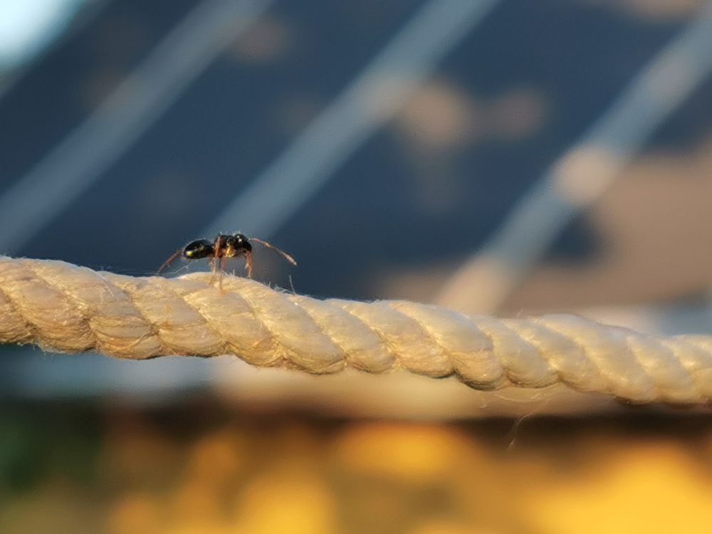 Photograph by Людмила Орловская