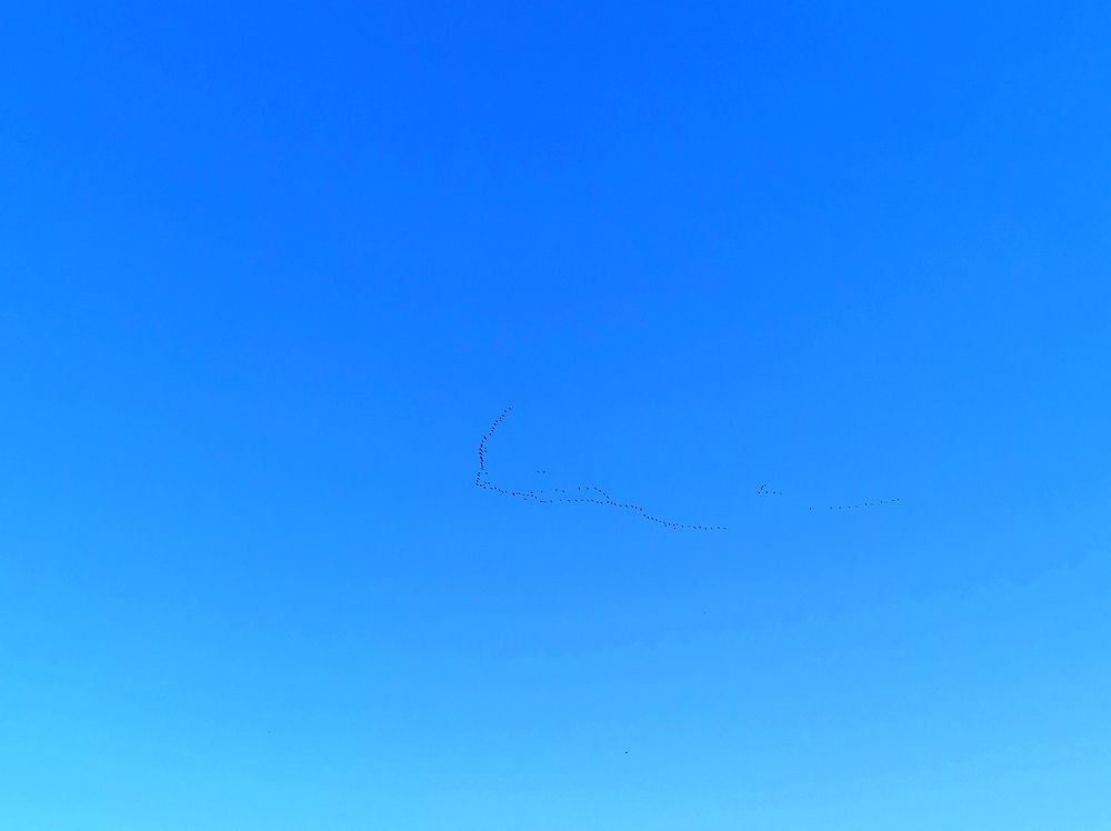 Photograph by Людмила Орловская