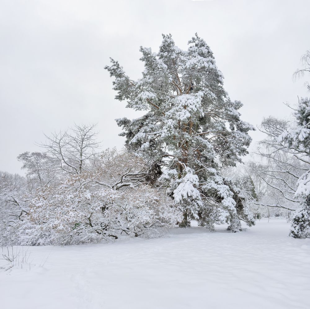 Photograph by Андрей Семенков