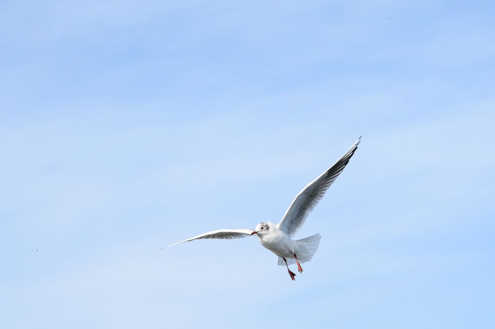 Фотография автора Вера