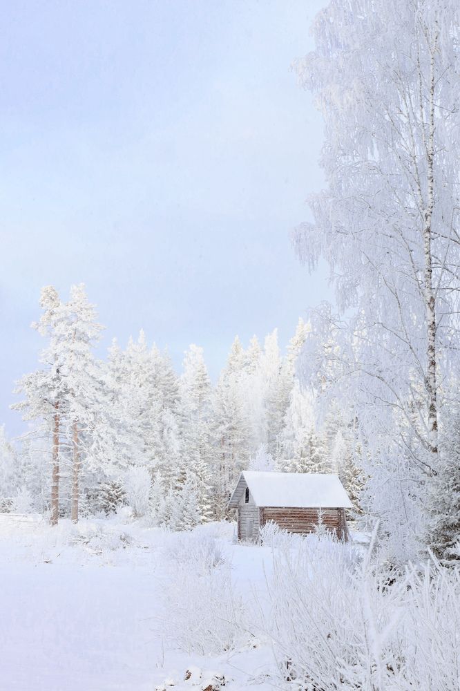 Photograph by Елена Шавшина