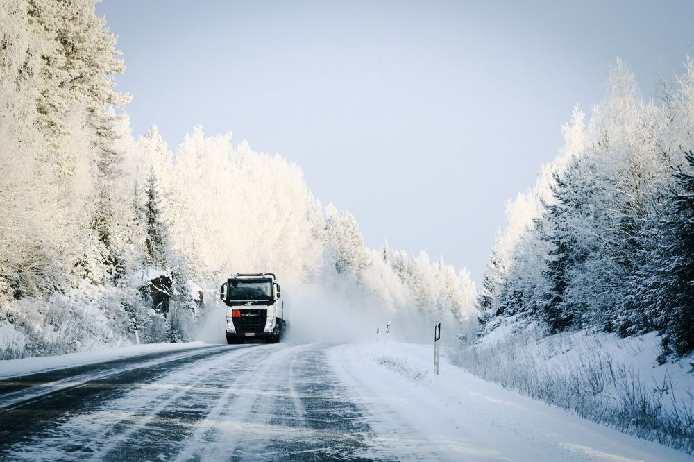 Photograph by Елена Шавшина