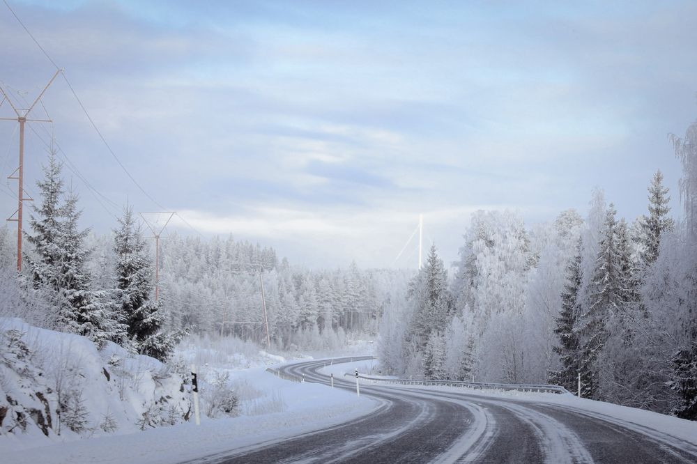 Photograph by Елена Шавшина