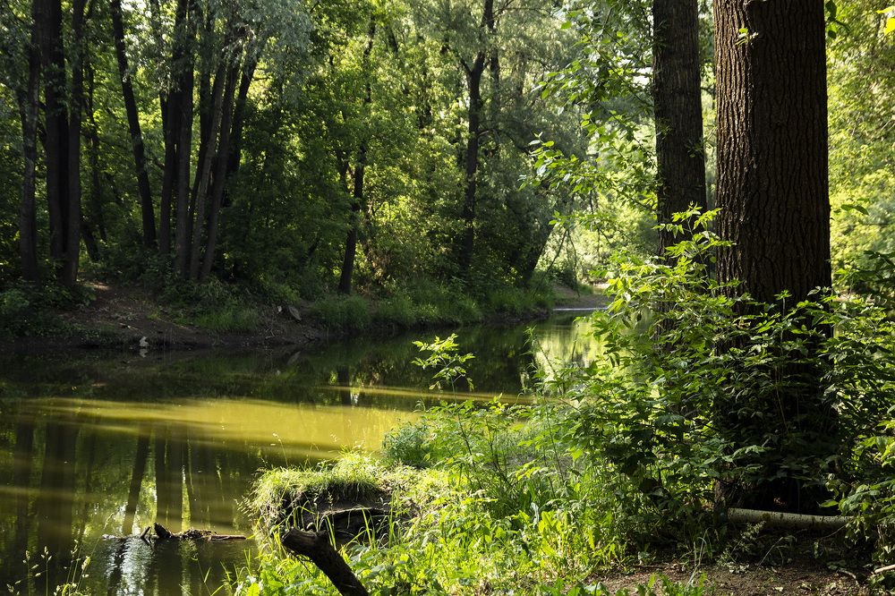 Фотография автора Андрей Рогов