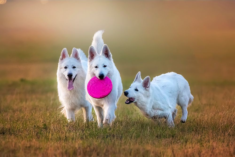 Photograph by ольга